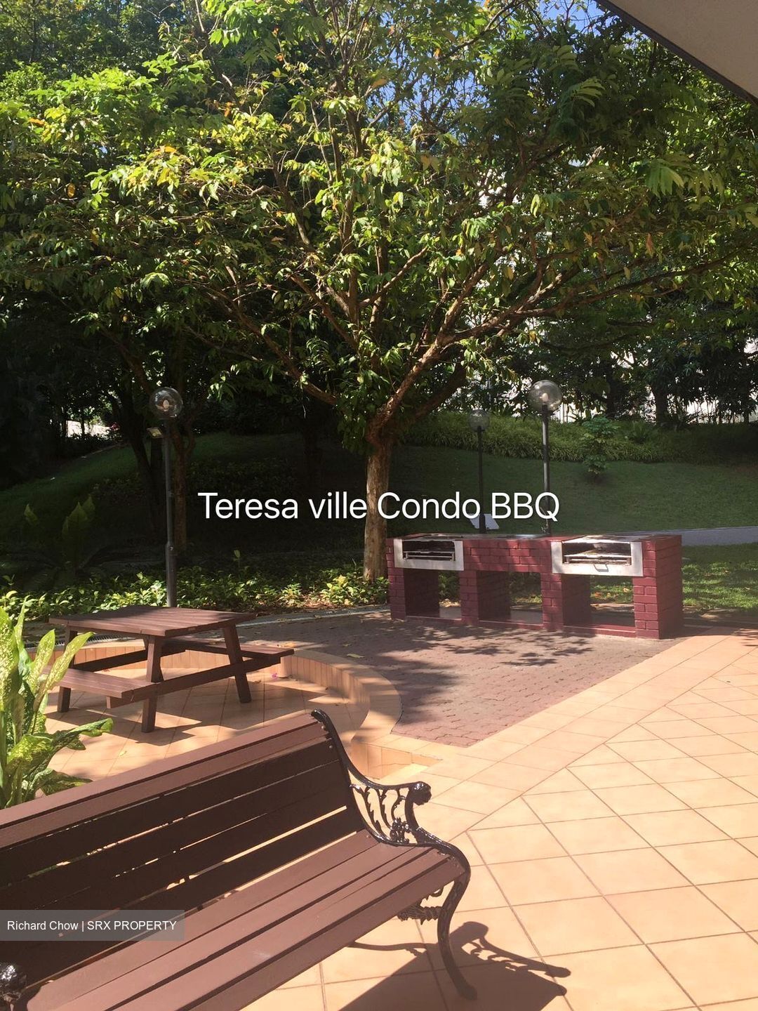 Teresa Ville (D4), Condominium #506687841